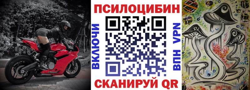 Псилоцибиновые грибы Cubensis  Гдов 